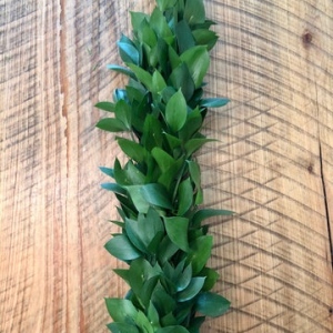 Israeli Ruscus Garland
