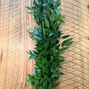 Italian Ruscus Garland