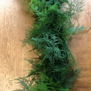 Plumosus Garland