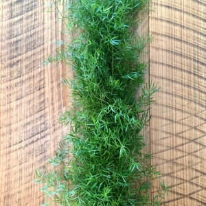 Spengeri Garland