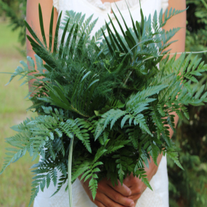 Old Florida Bouquet