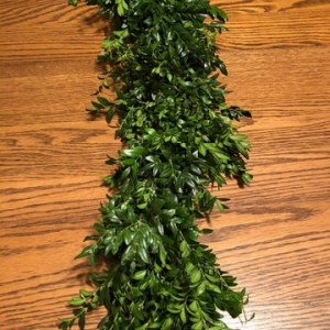 Boxwood Garland