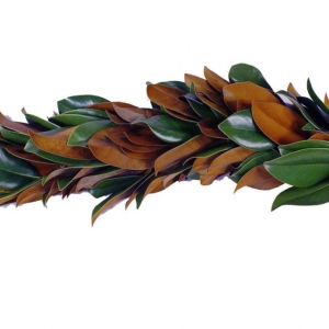 Magnolia Garland