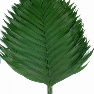 Prem Emerald